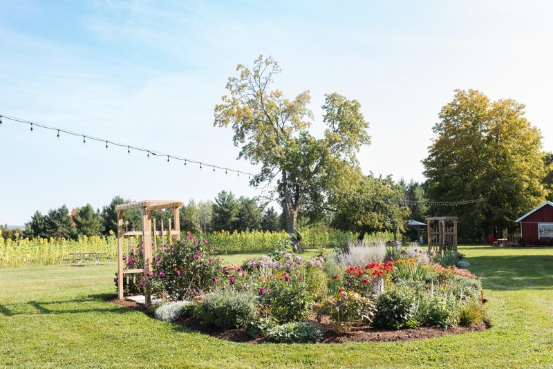 Beautiful gardens