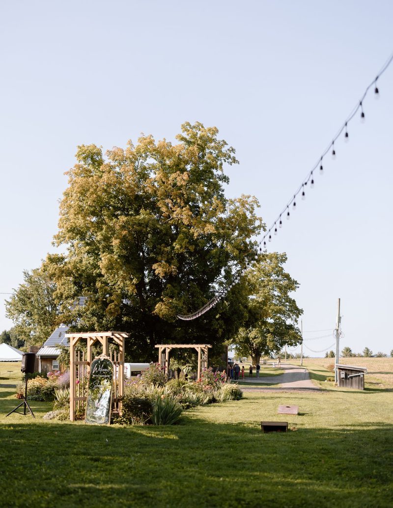 Garden and lawn